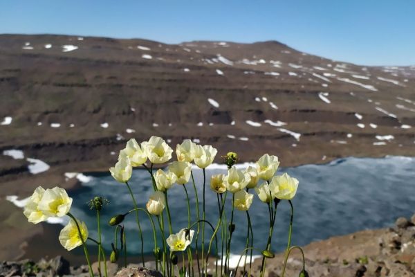 Когда лучше ехать на плато Путорана: погода и сезоны