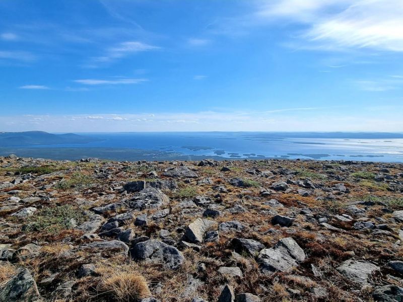 белое море кандалакша