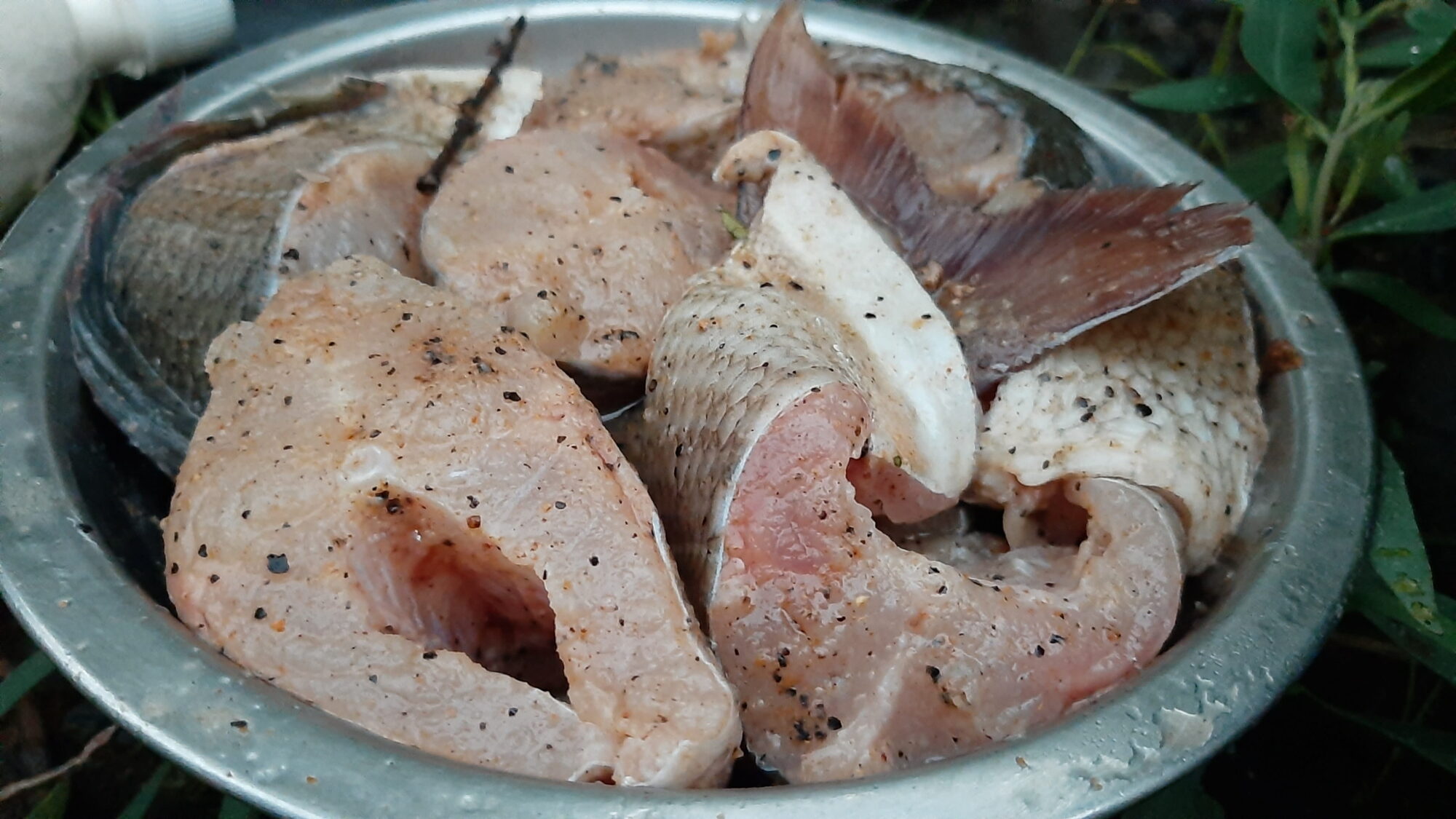 Хариус Путоранский